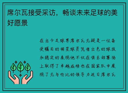 席尔瓦接受采访，畅谈未来足球的美好愿景